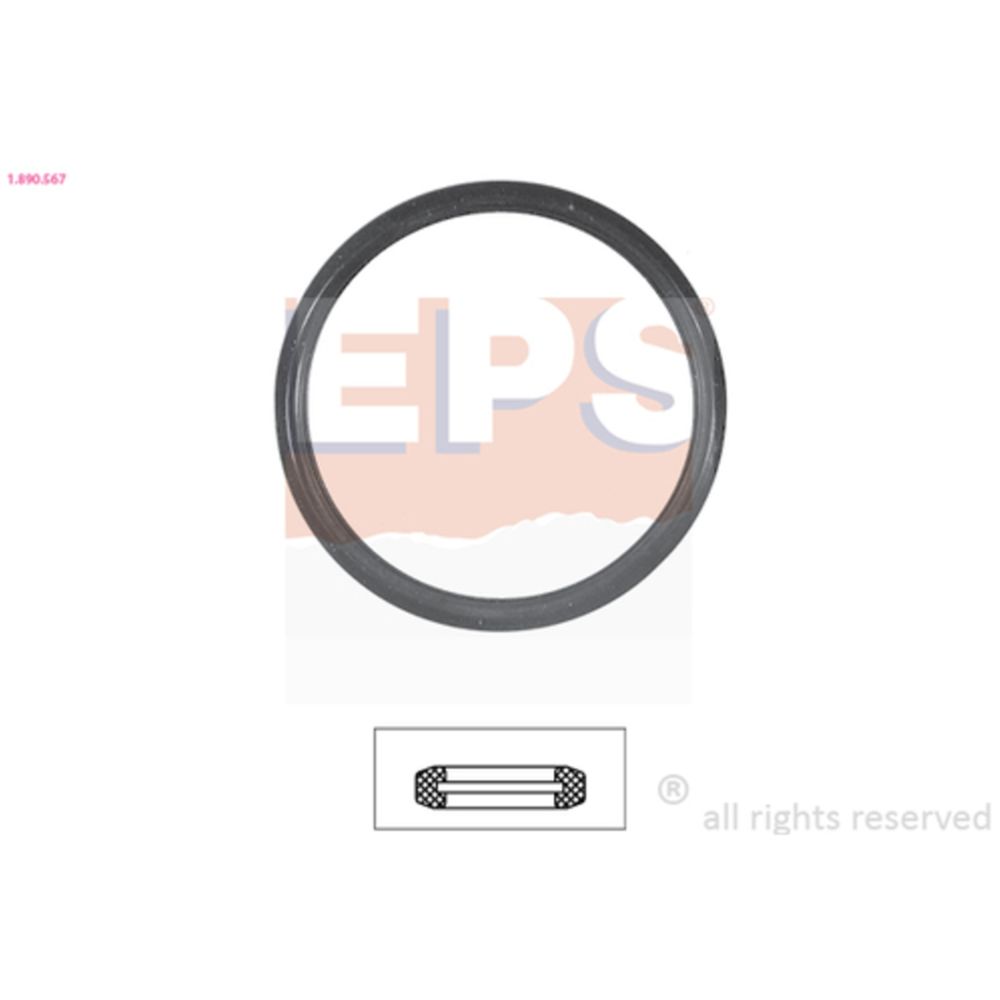 Termostaatin tiiviste 30-6179