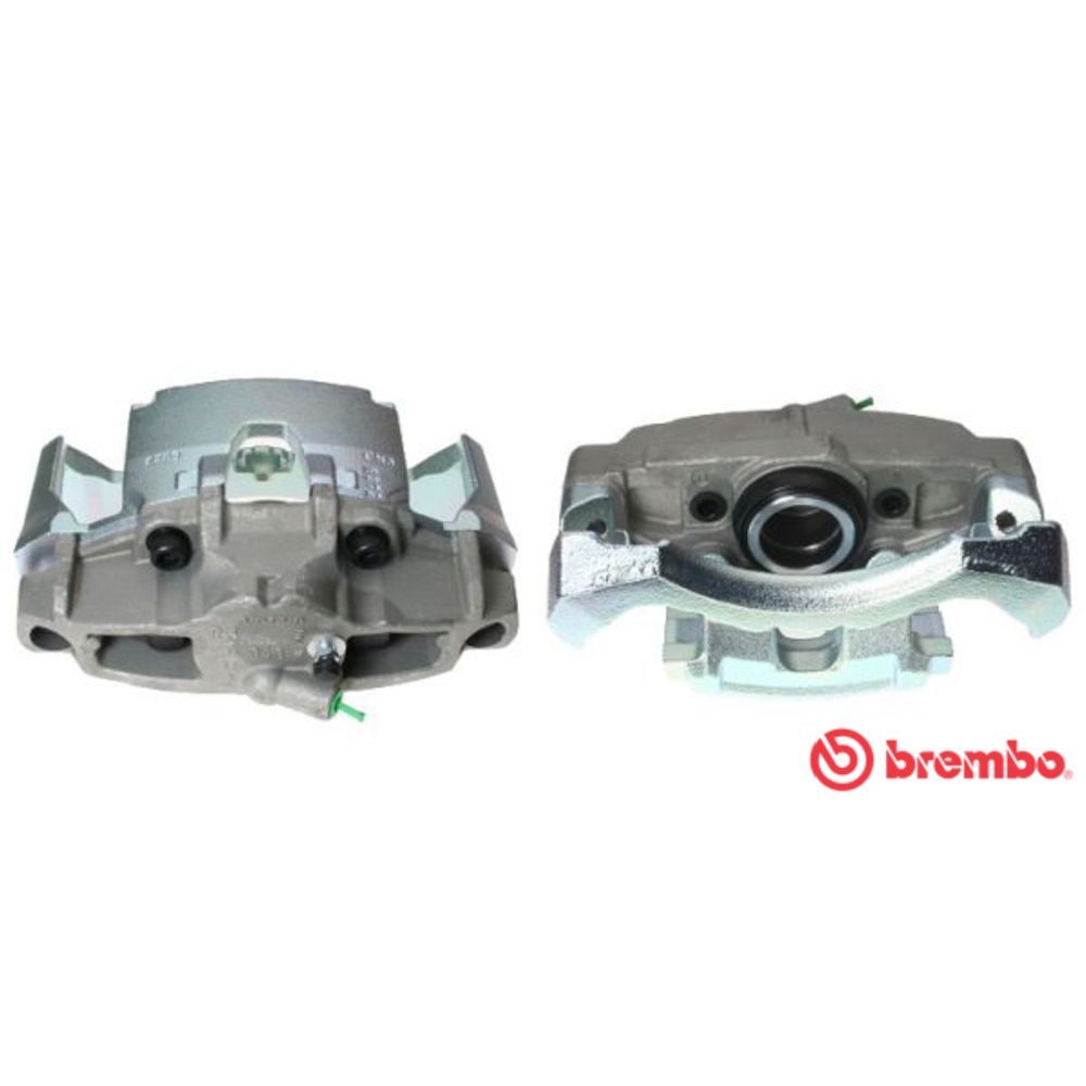 Jarrusatula 23-00126