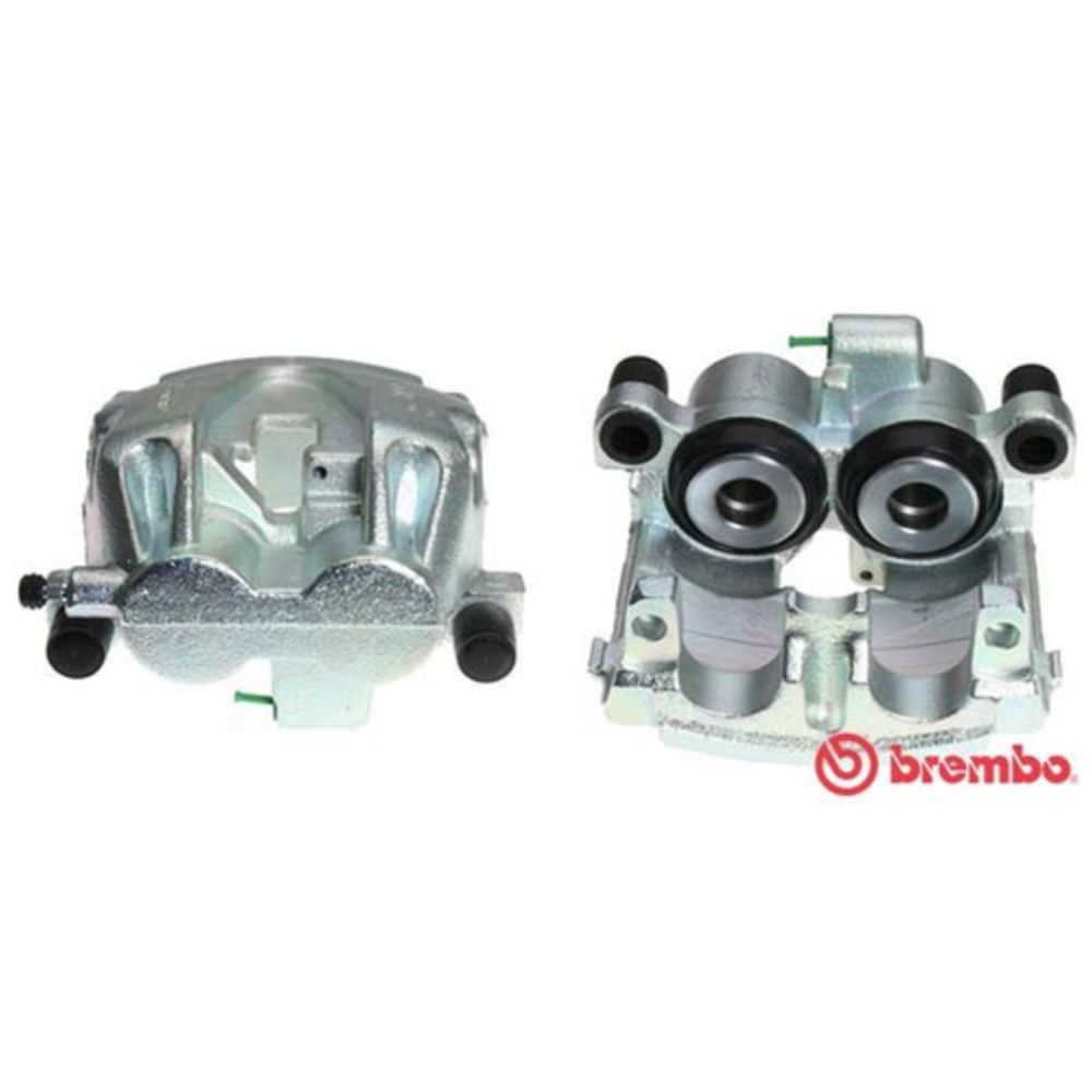 Jarrusatula 23-01356