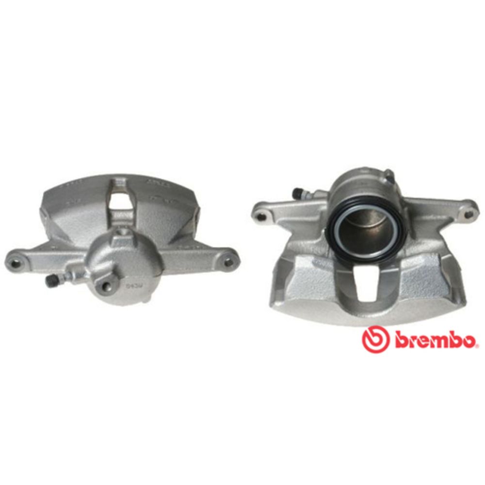 Jarrusatula 23-01292