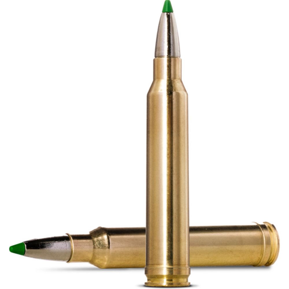 NORMA CTG 300 WIN MAG ECOSTRIKE 10.7G/165GR 20 st.