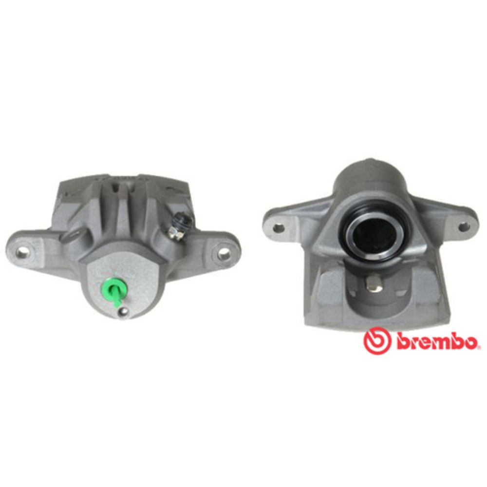 Jarrusatula 23-00616