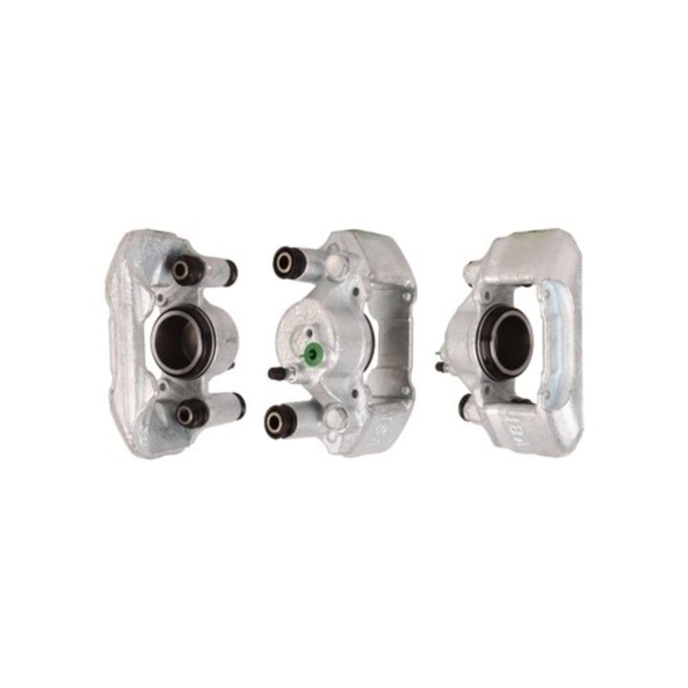 Jarrusatula 23-00460