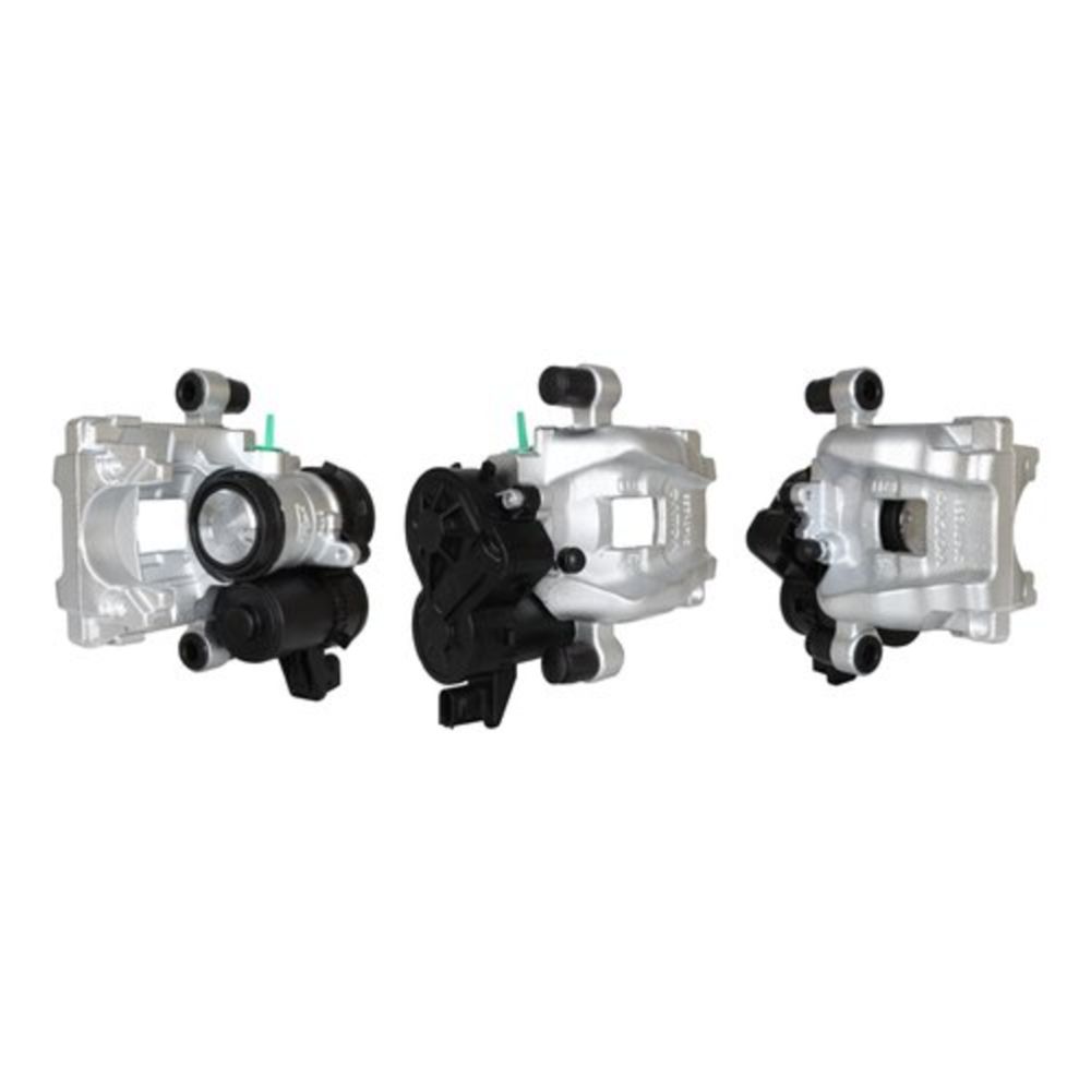 Jarrusatula 23-00603