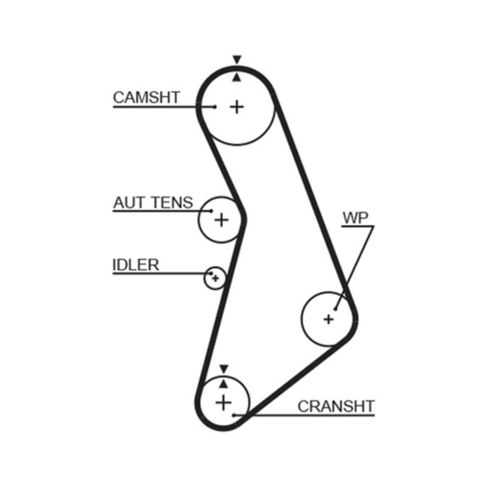 Kuggrem 25-5979