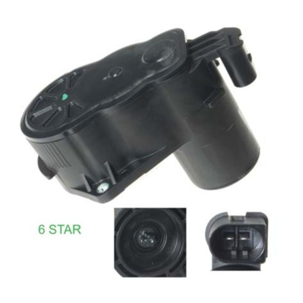 Jarrusatula 23-00926