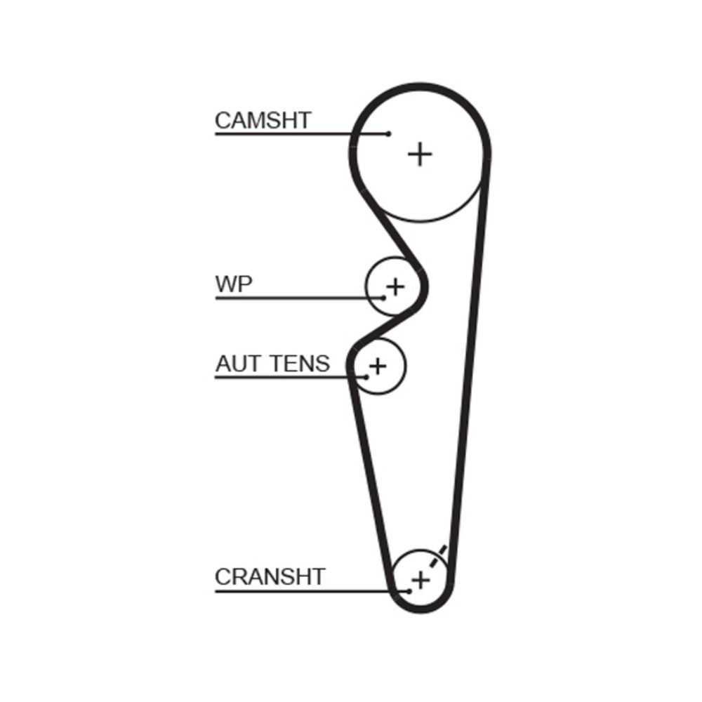 Kuggrem 25-5855