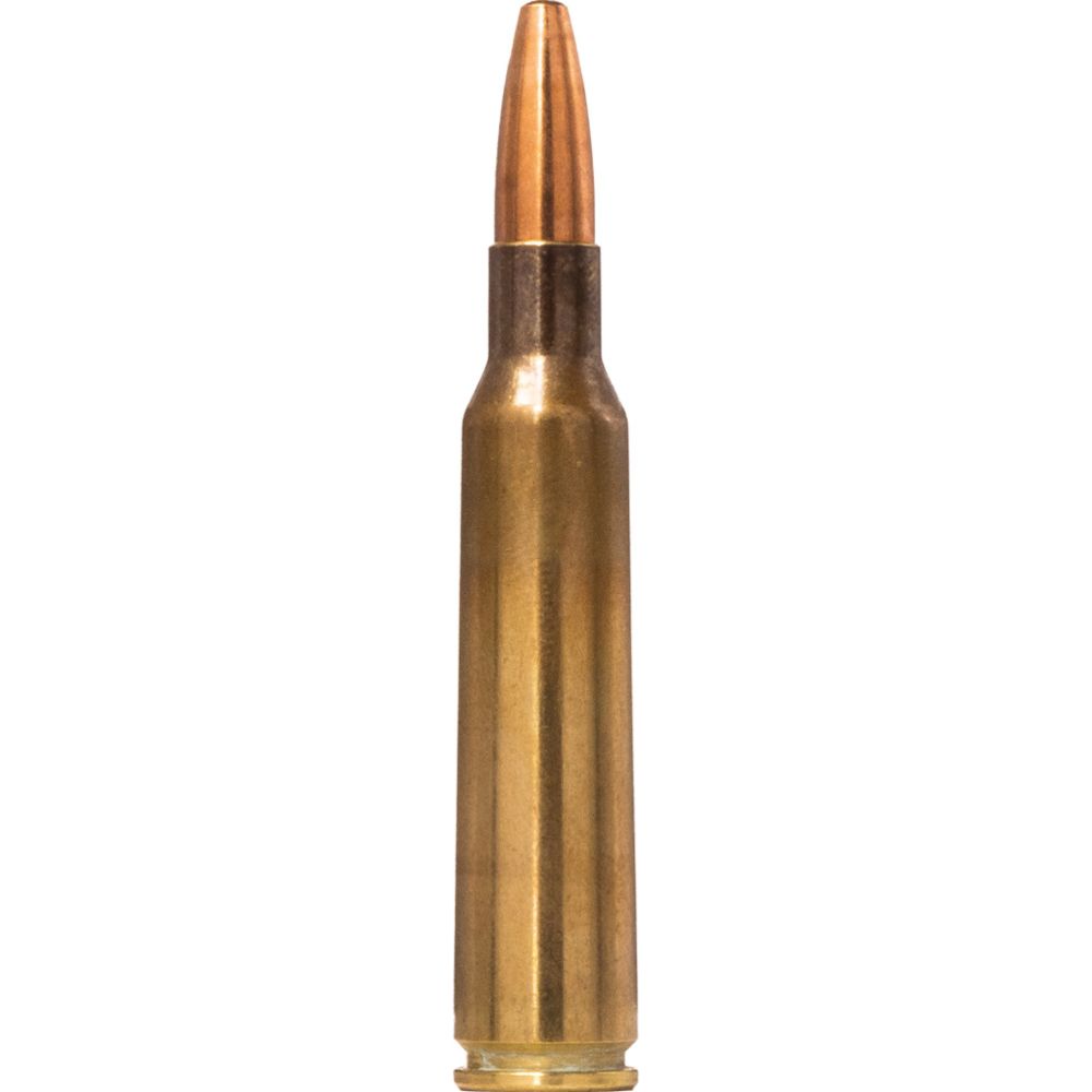 Norma Range &Training 6,5x55 8,0g/124gr FMJ