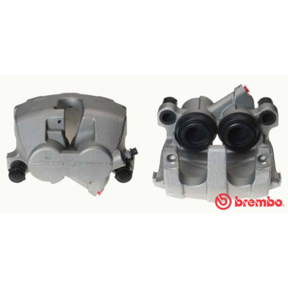 Jarrusatula 23-01640