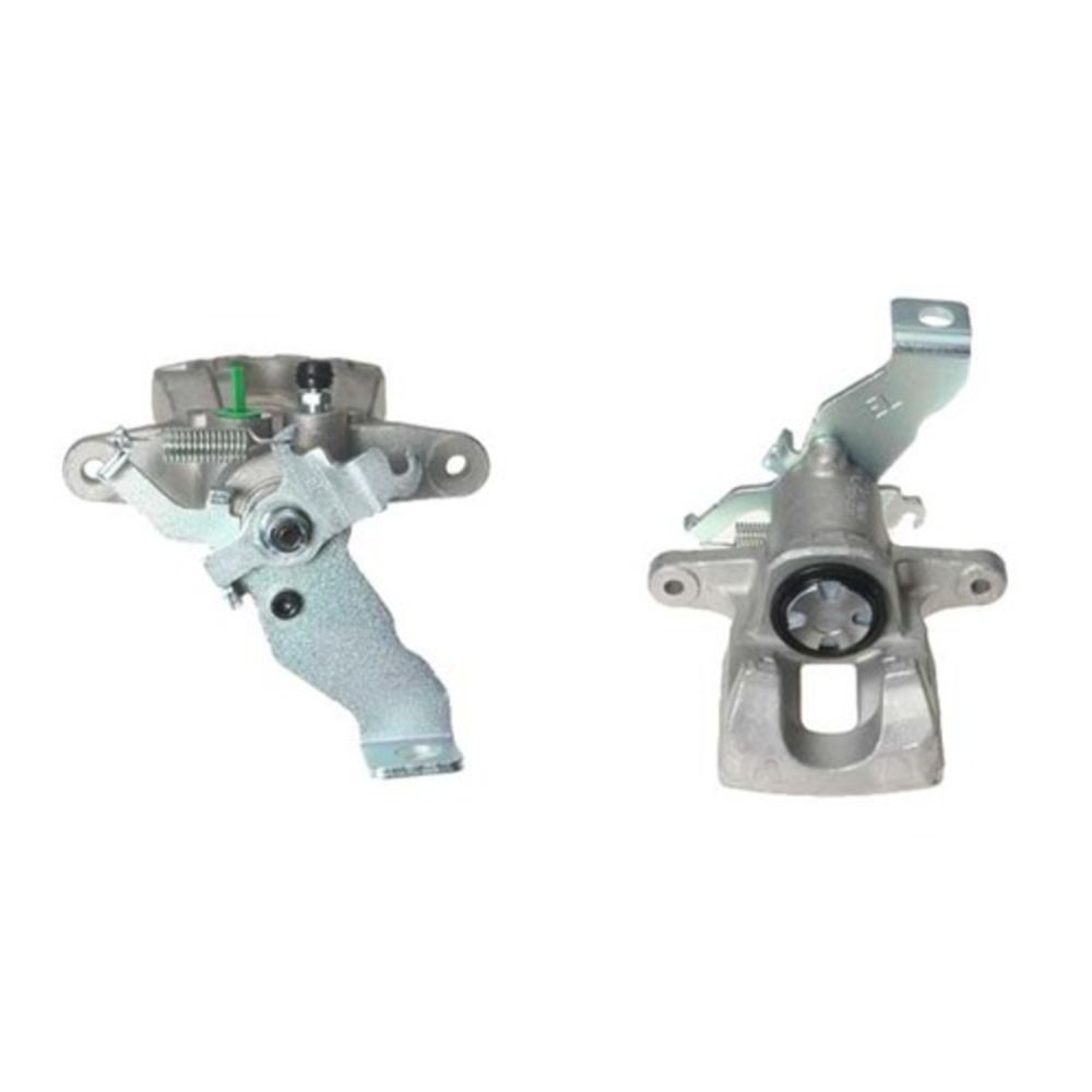 Jarrusatula 23-03083