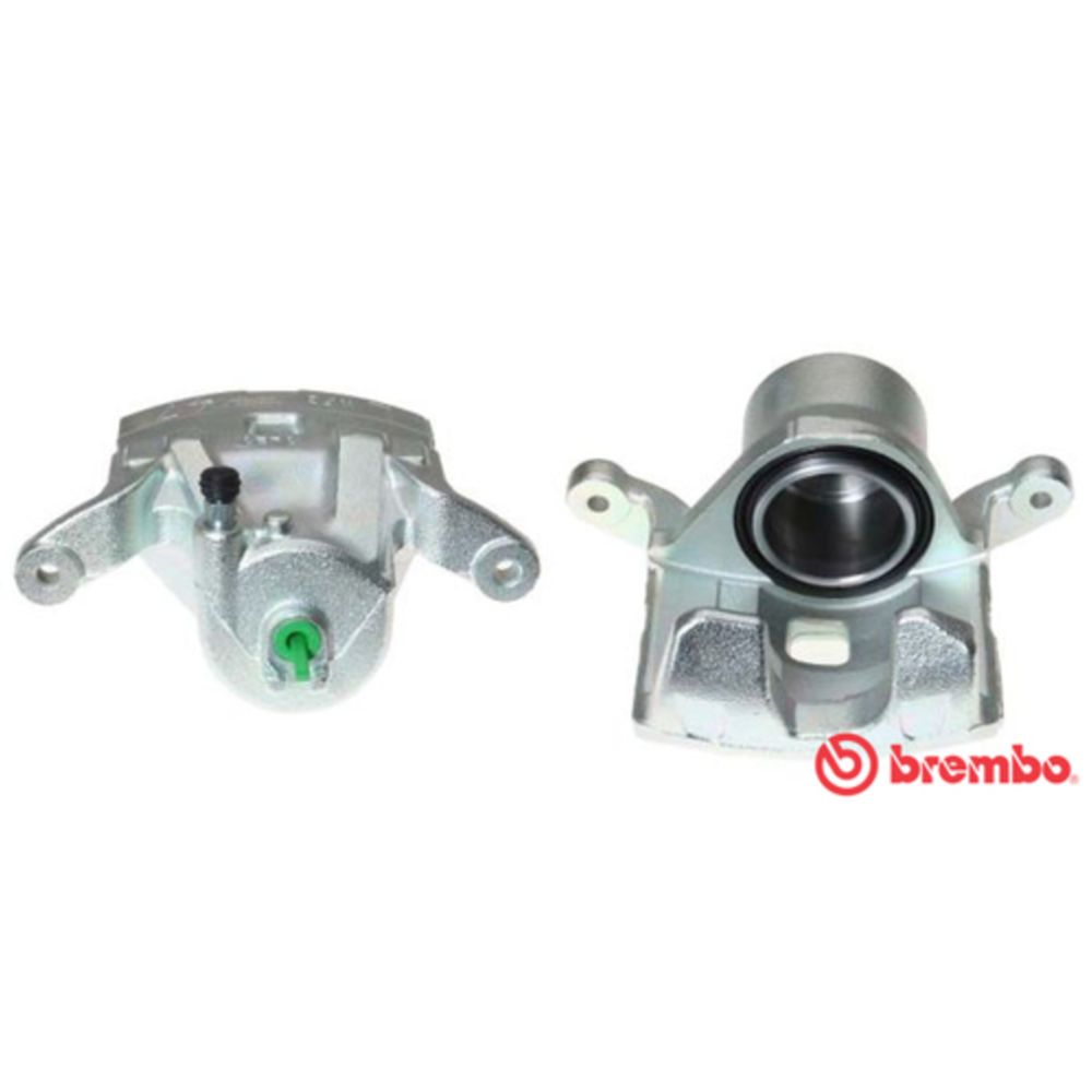 Jarrusatula 23-01259