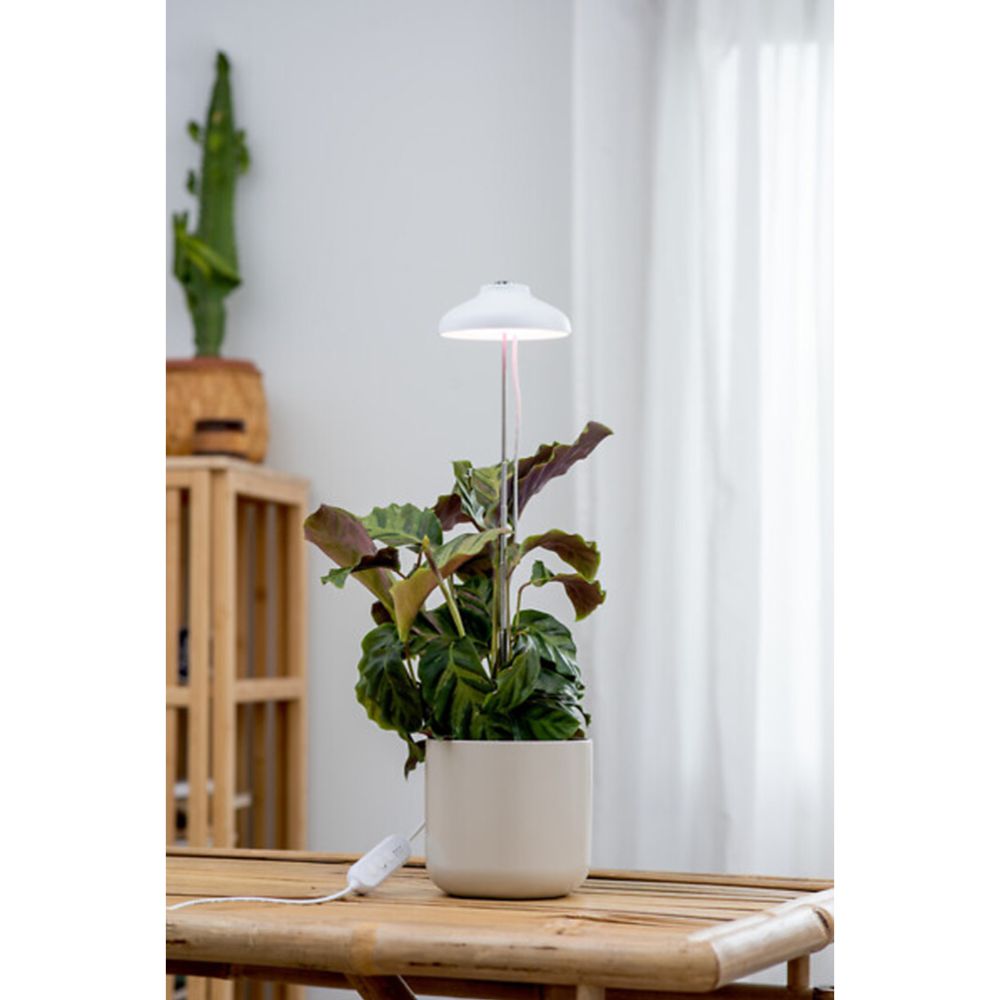 Airam Iris LED-kasvivalaisin 5 W 240 lm USB valkoinen