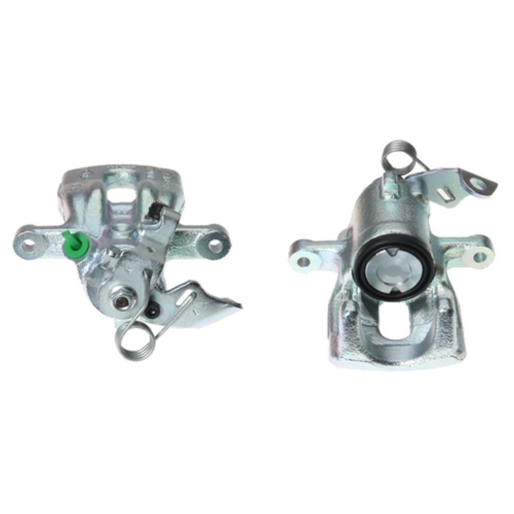 Jarrusatula 23-00492