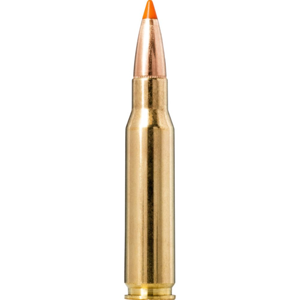 NORMA CTG .308 WIN TIPSTRIKE 11.0G/170GR 20st