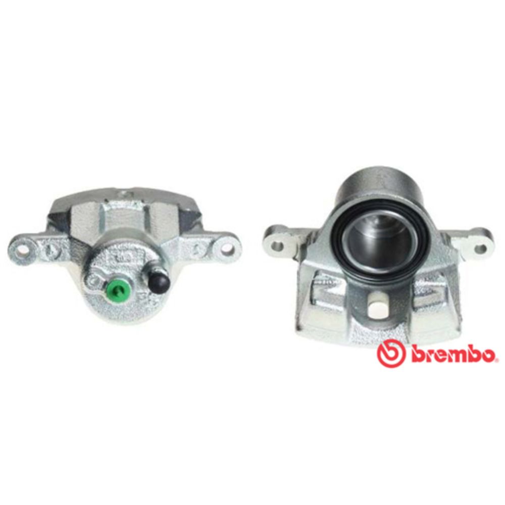 Jarrusatula 23-00158