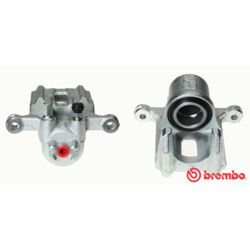 Jarrusatula 23-01018