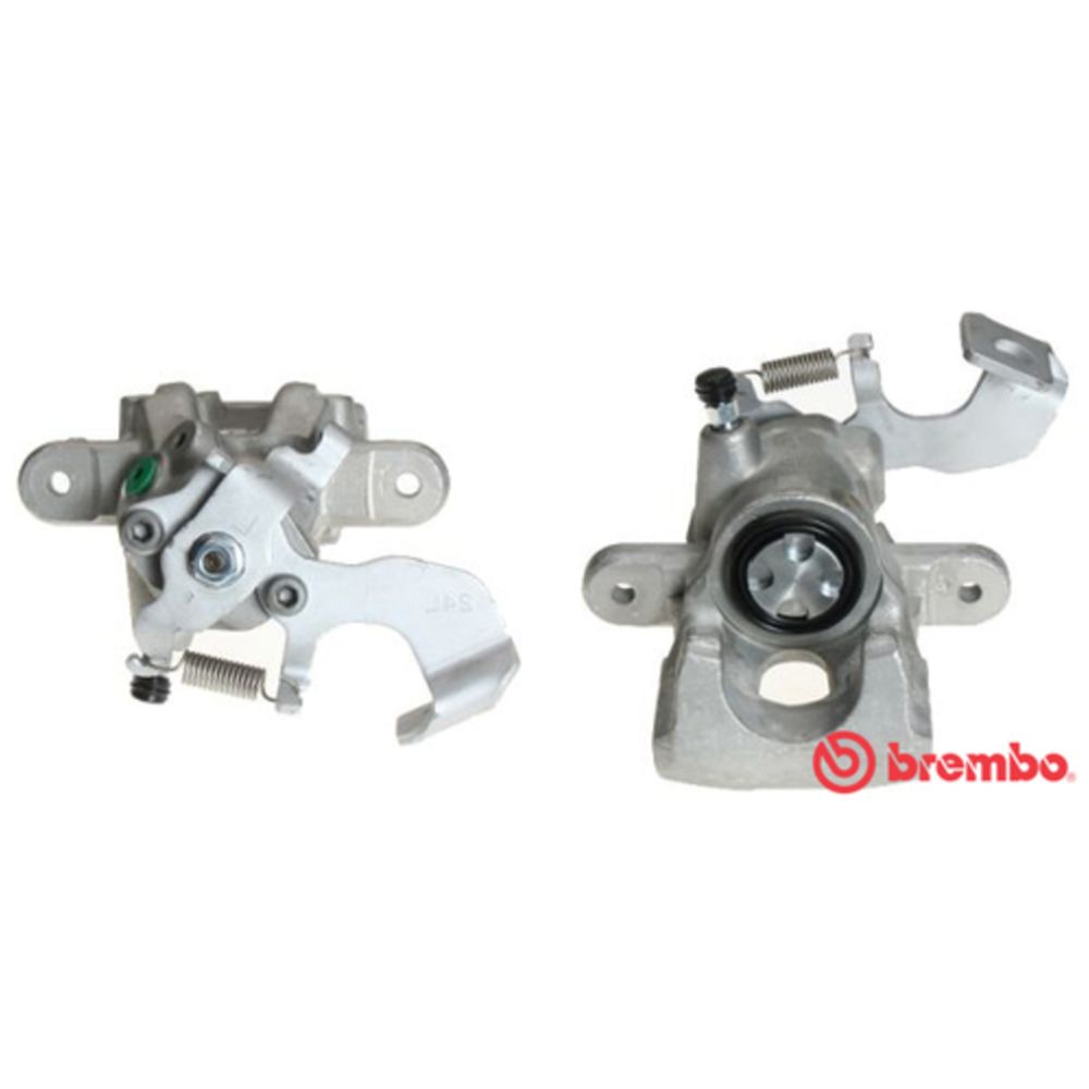 Jarrusatula 23-01152