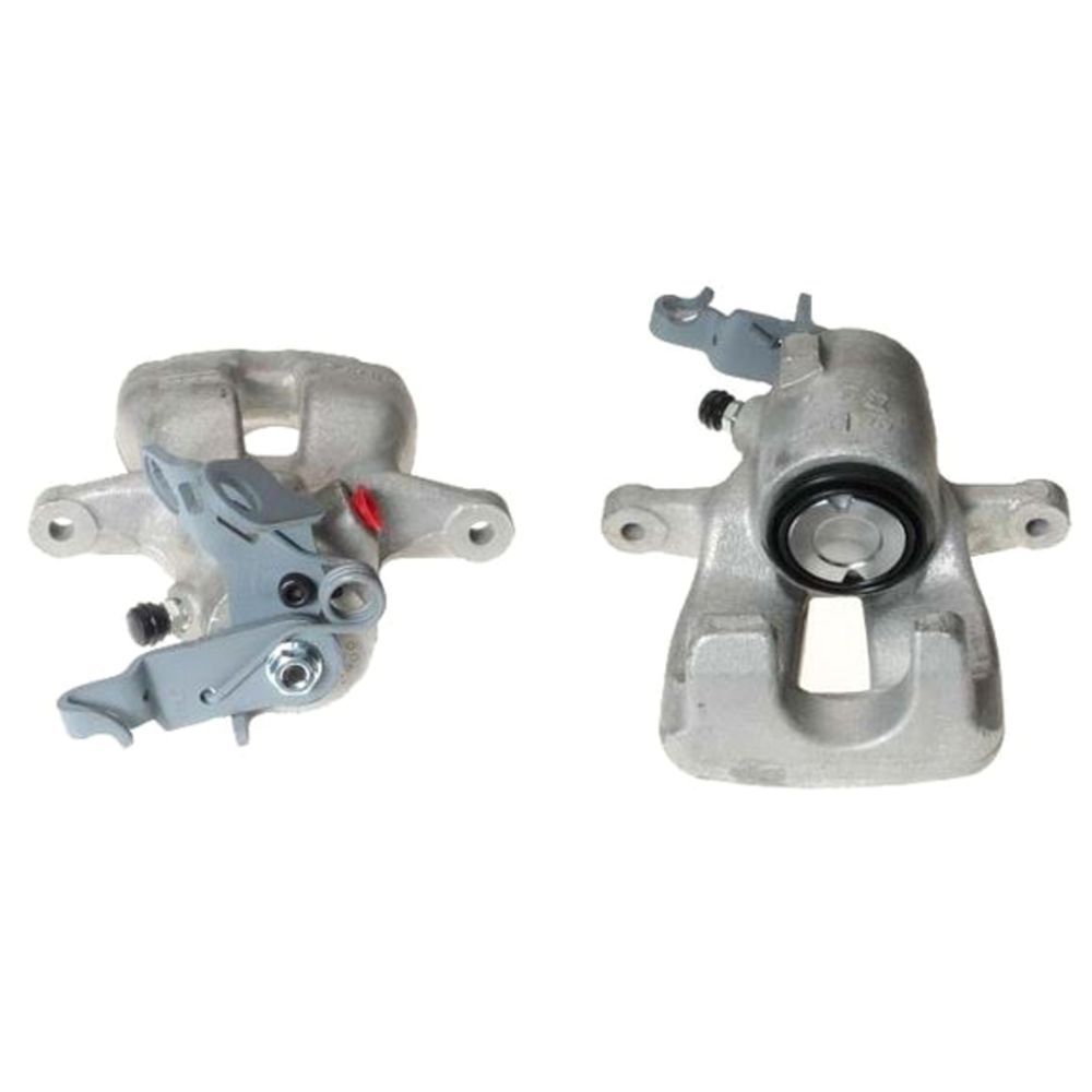 Jarrusatula 23-00133