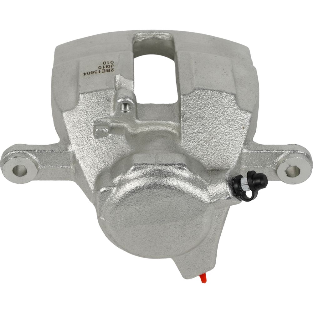 Jarrusatula 23-02761