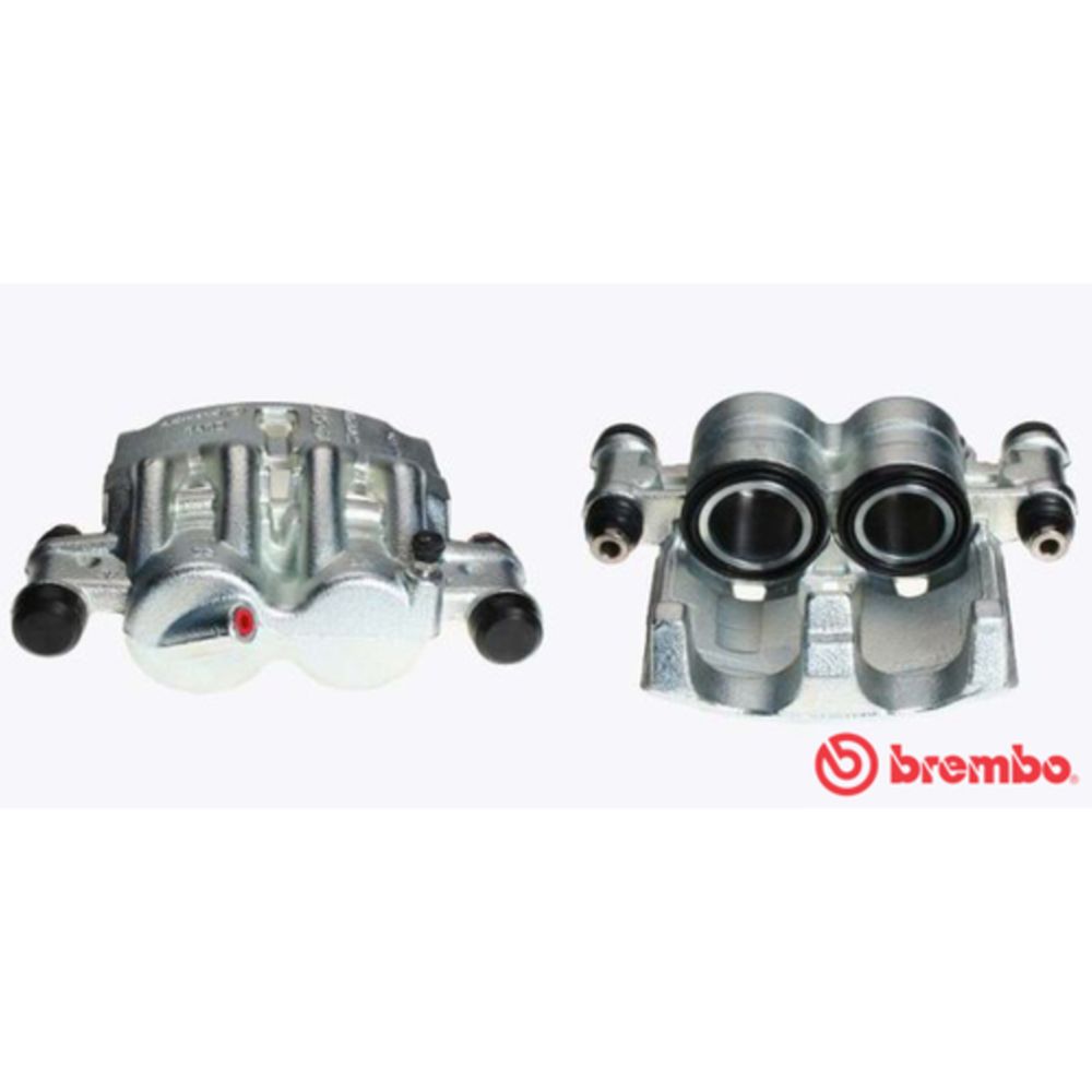 Jarrusatula 23-00182