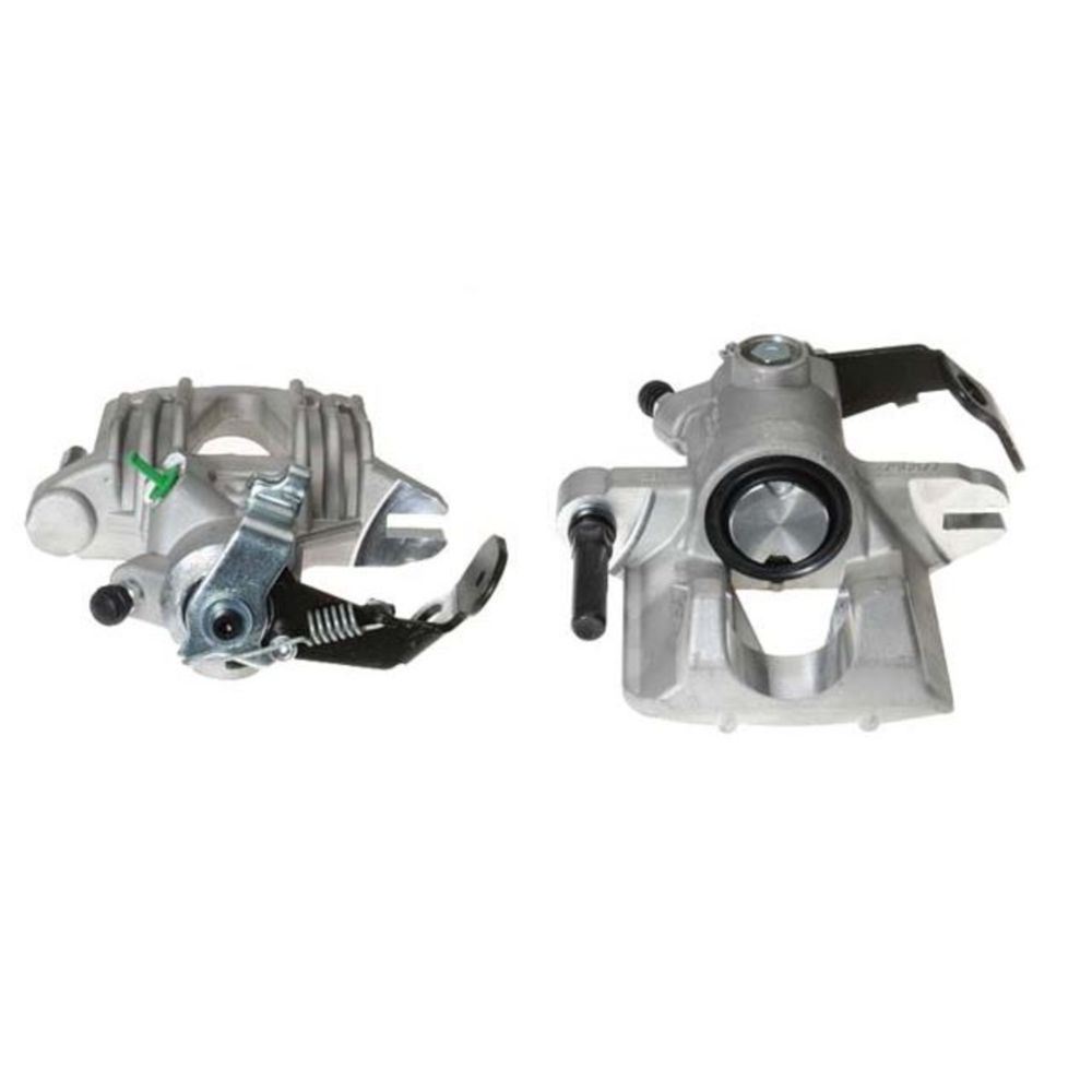 Jarrusatula 23-00296