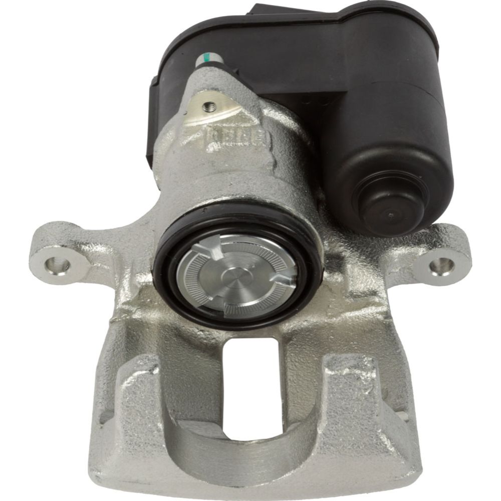 Jarrusatula 23-00820