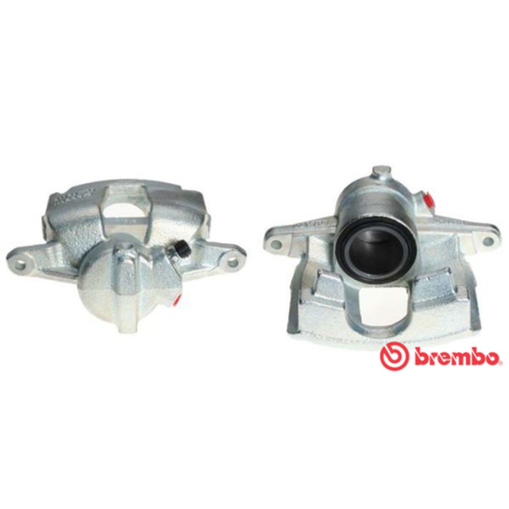 Jarrusatula 23-00160