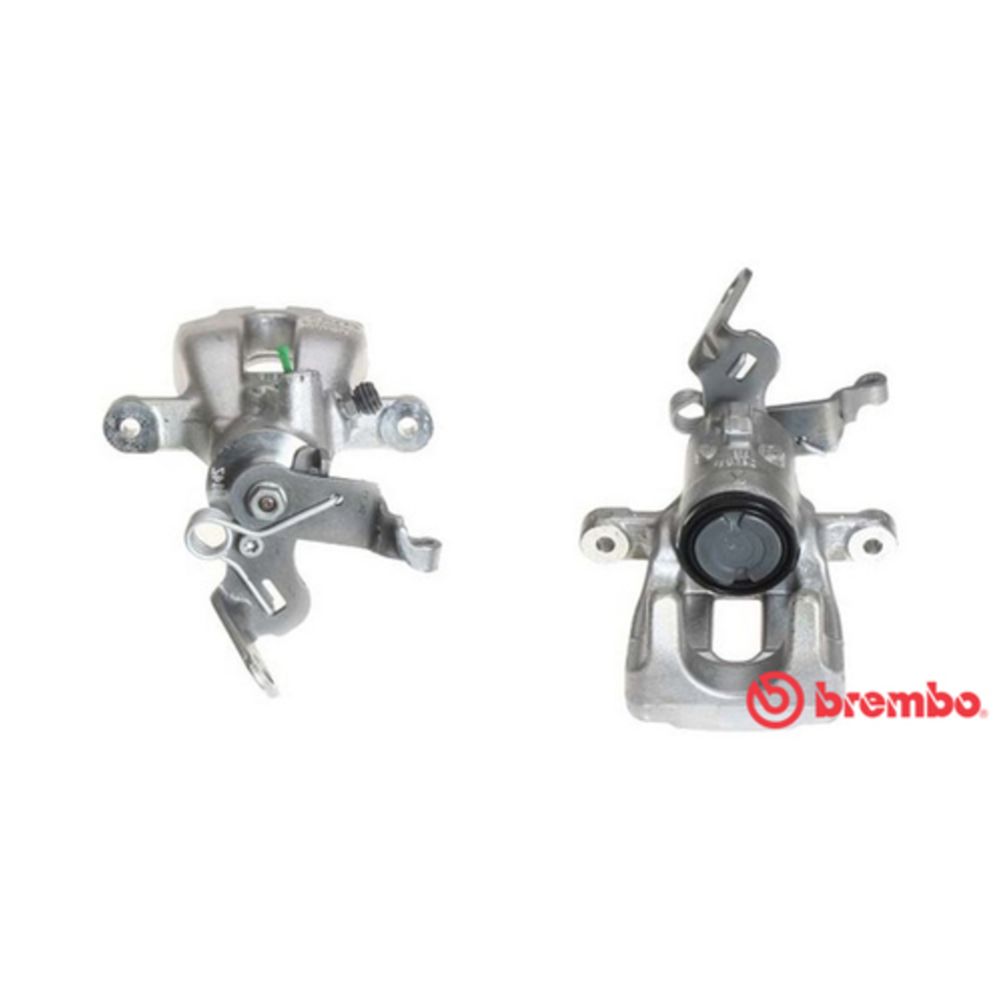 Jarrusatula 23-00166