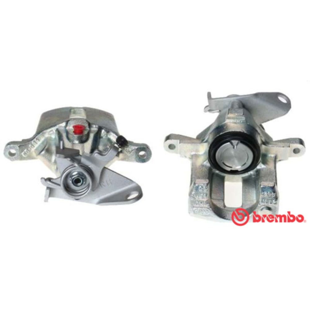 Jarrusatula 23-00028