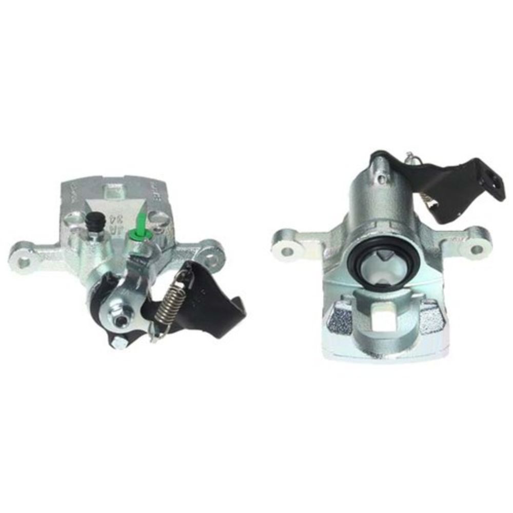 Jarrusatula 23-01347