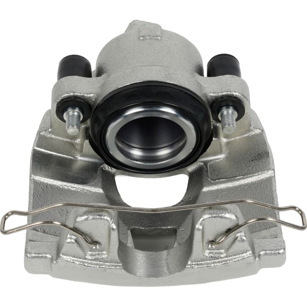 Jarrusatula 23-02657