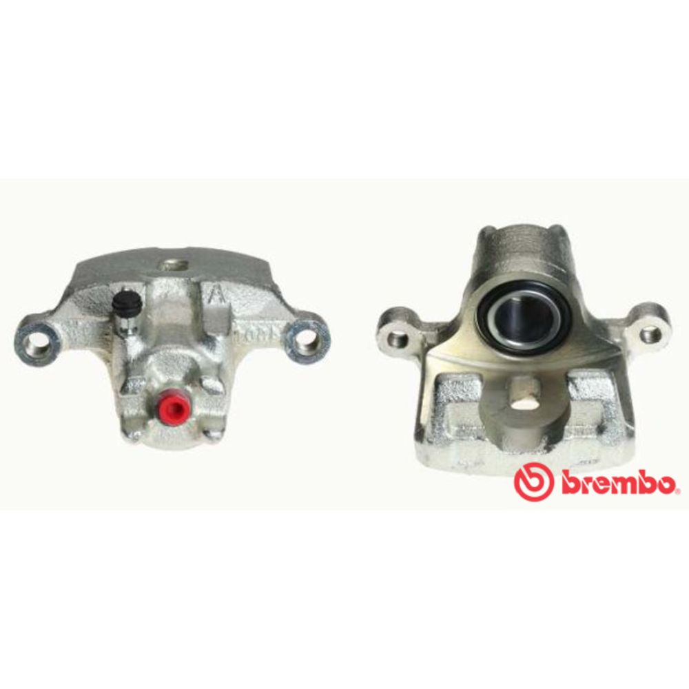 Jarrusatula 23-01364