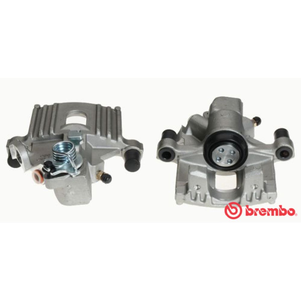 Jarrusatula 23-02263