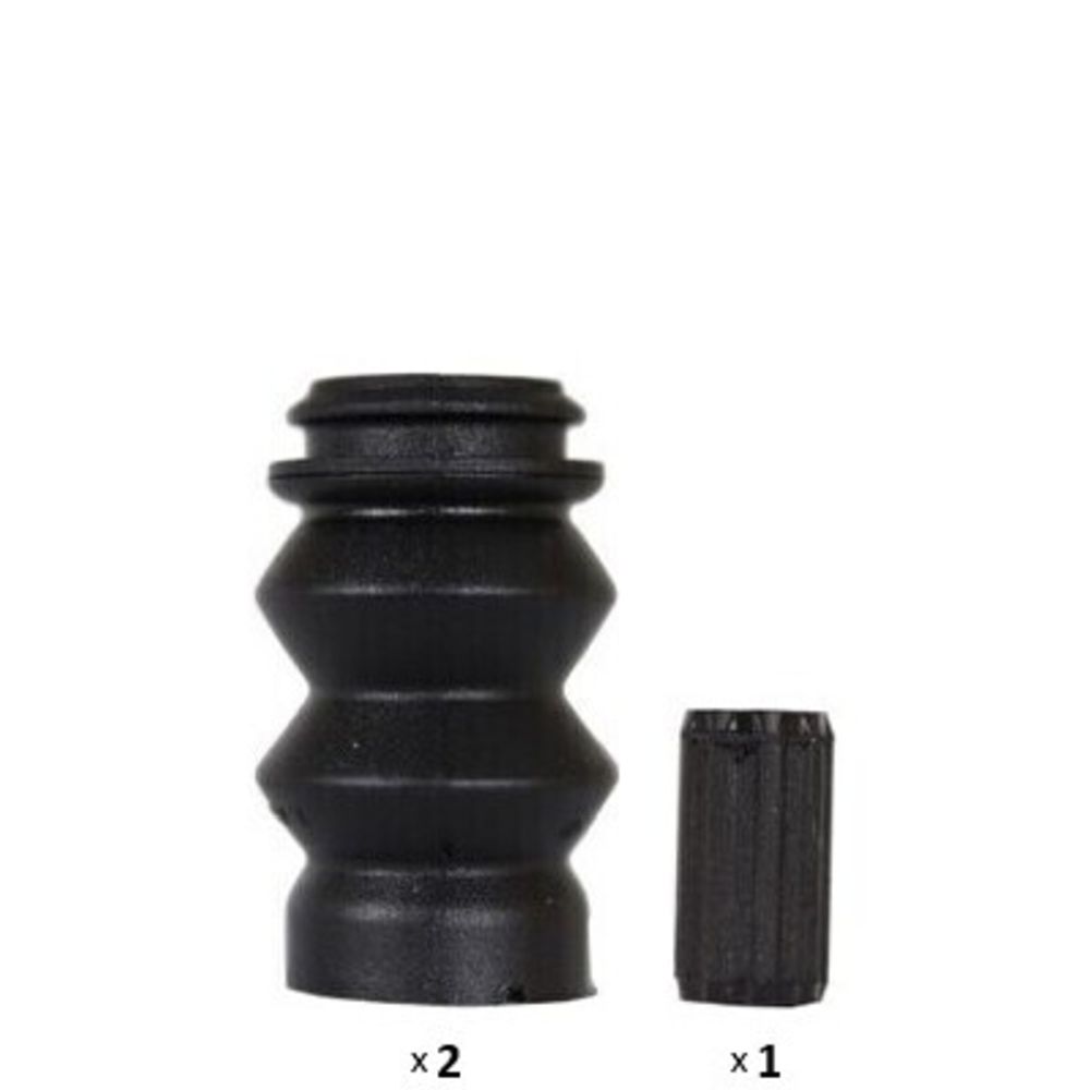 Jarrusatula 23-00855