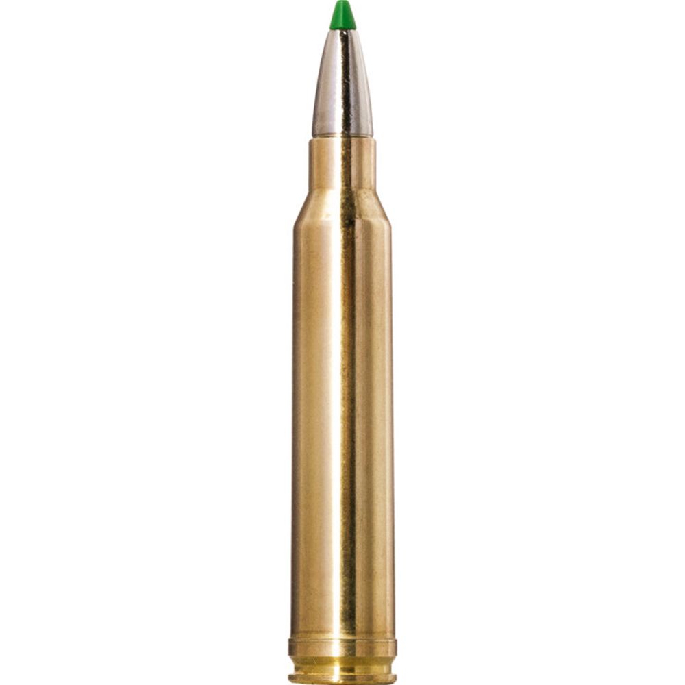 Norma Ecostrike CTG .300 Win Mag 10.7 g/165 gr 20 st.
