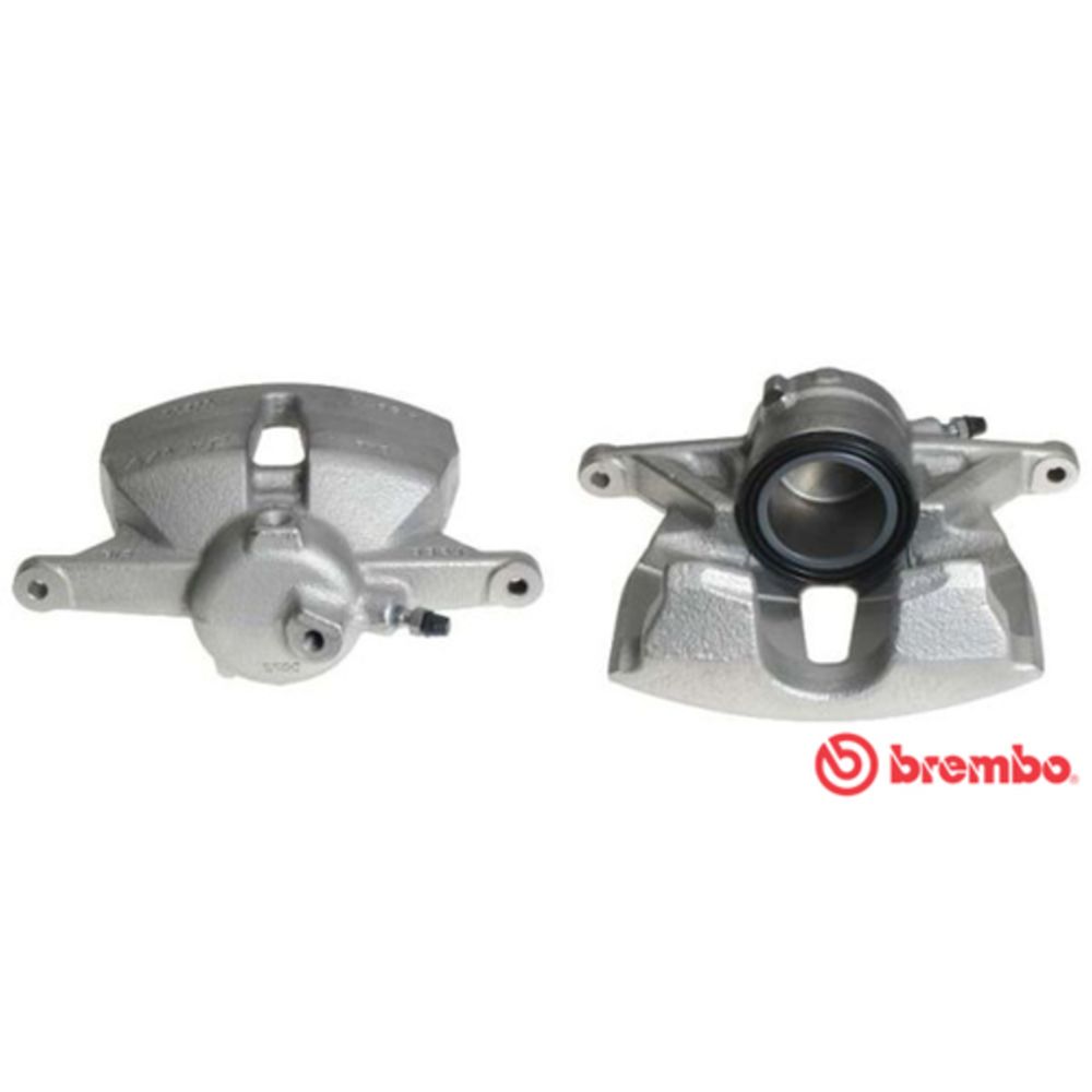 Jarrusatula 23-00064