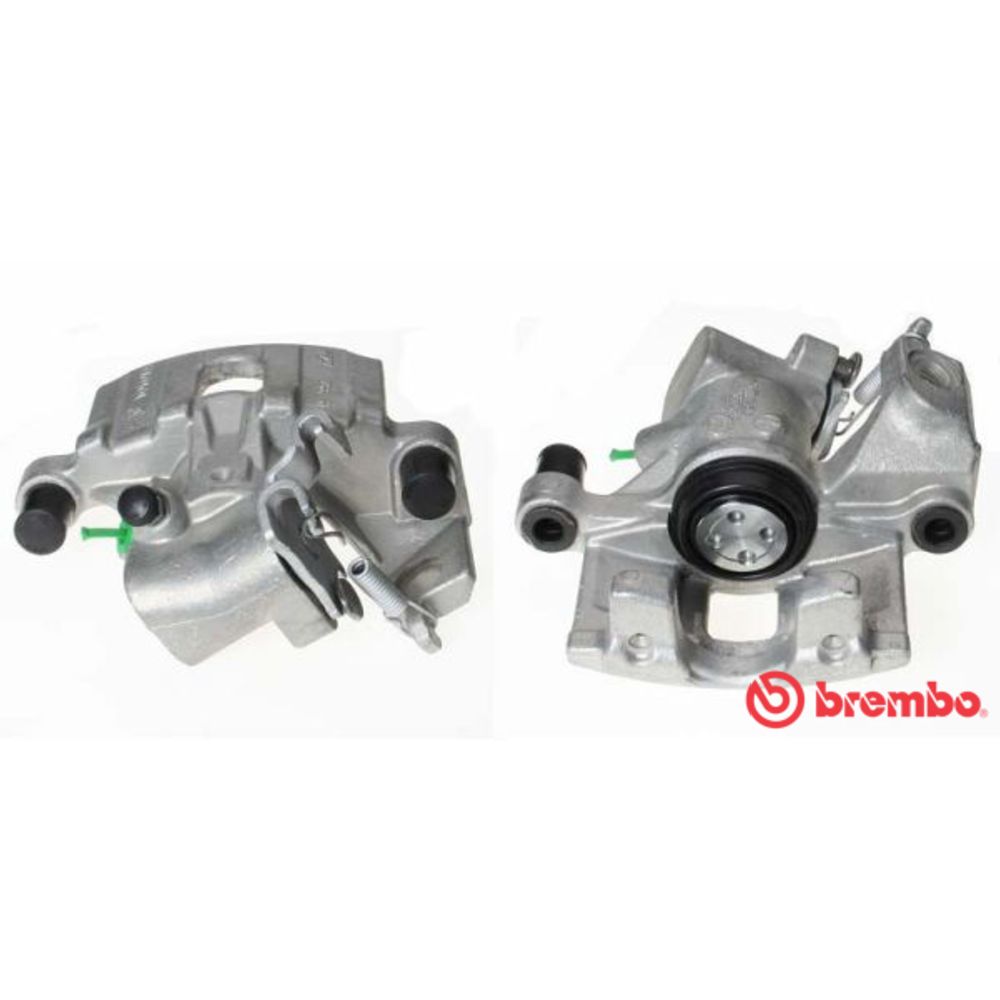Jarrusatula 23-00130