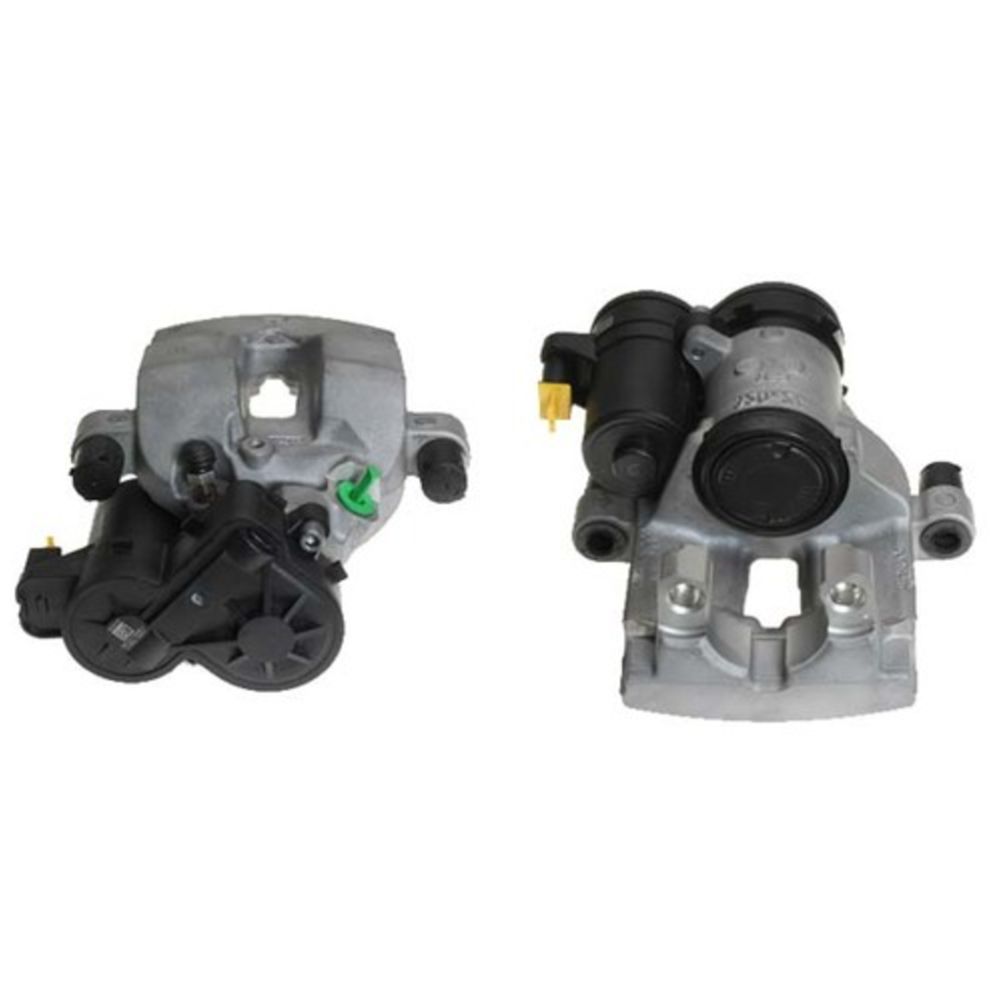 Jarrusatula 23-00930