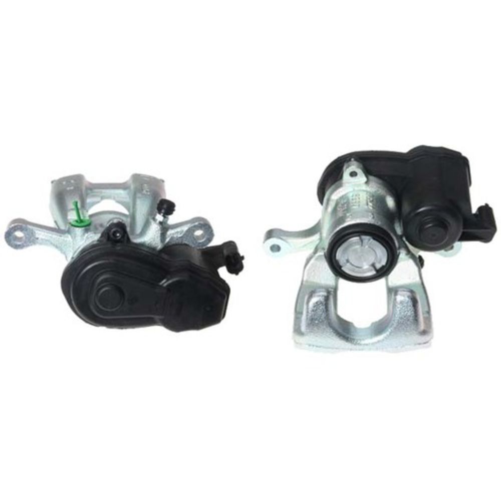 Jarrusatula 23-03082