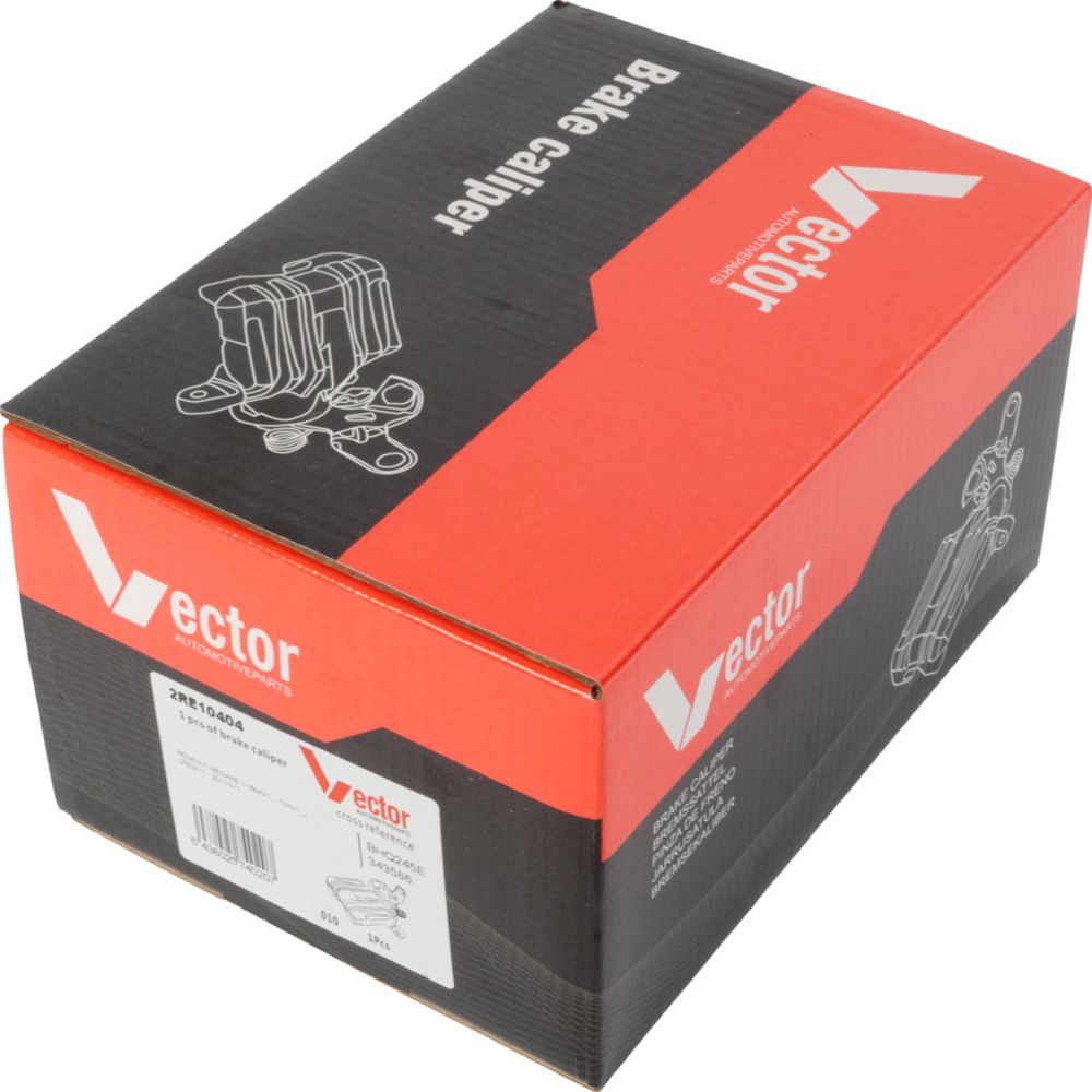 Jarrusatula 23-00753