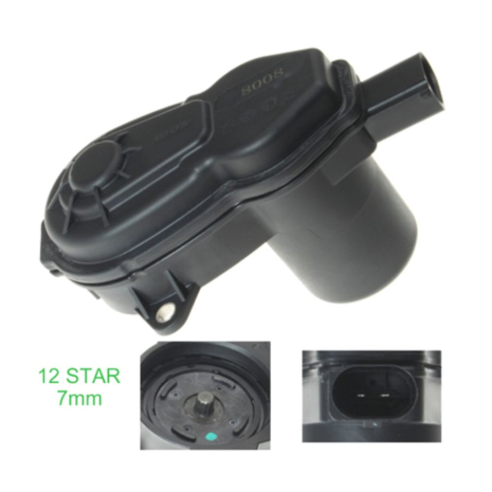 Jarrusatula 23-00156