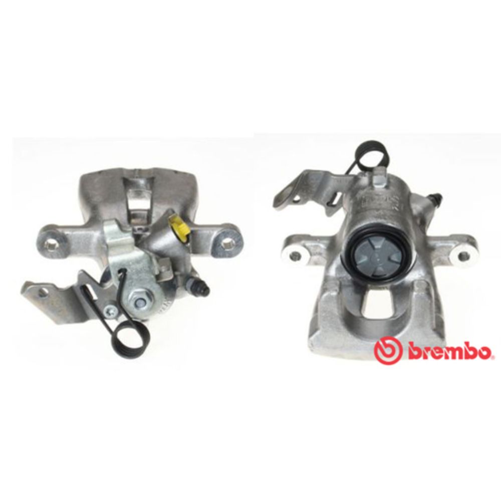 Jarrusatula 23-00458