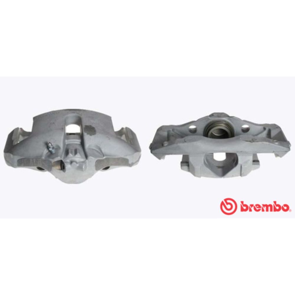 Jarrusatula 23-01075