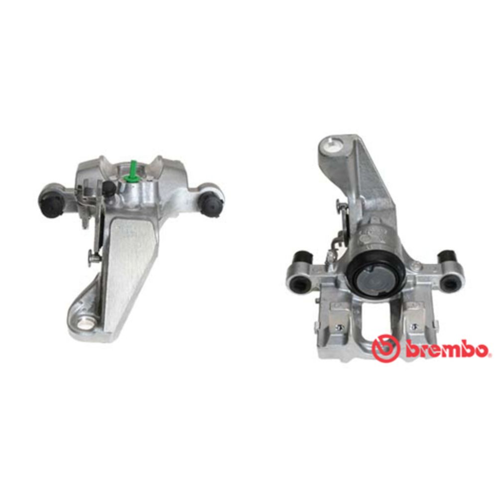 Jarrusatula 23-01181