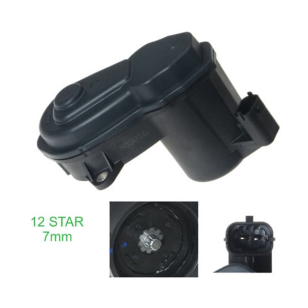 Jarrusatula 23-00911