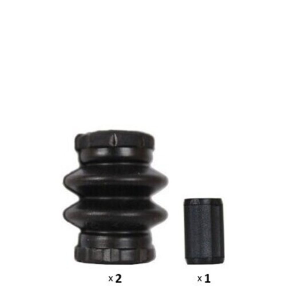 Jarrusatula 23-01898