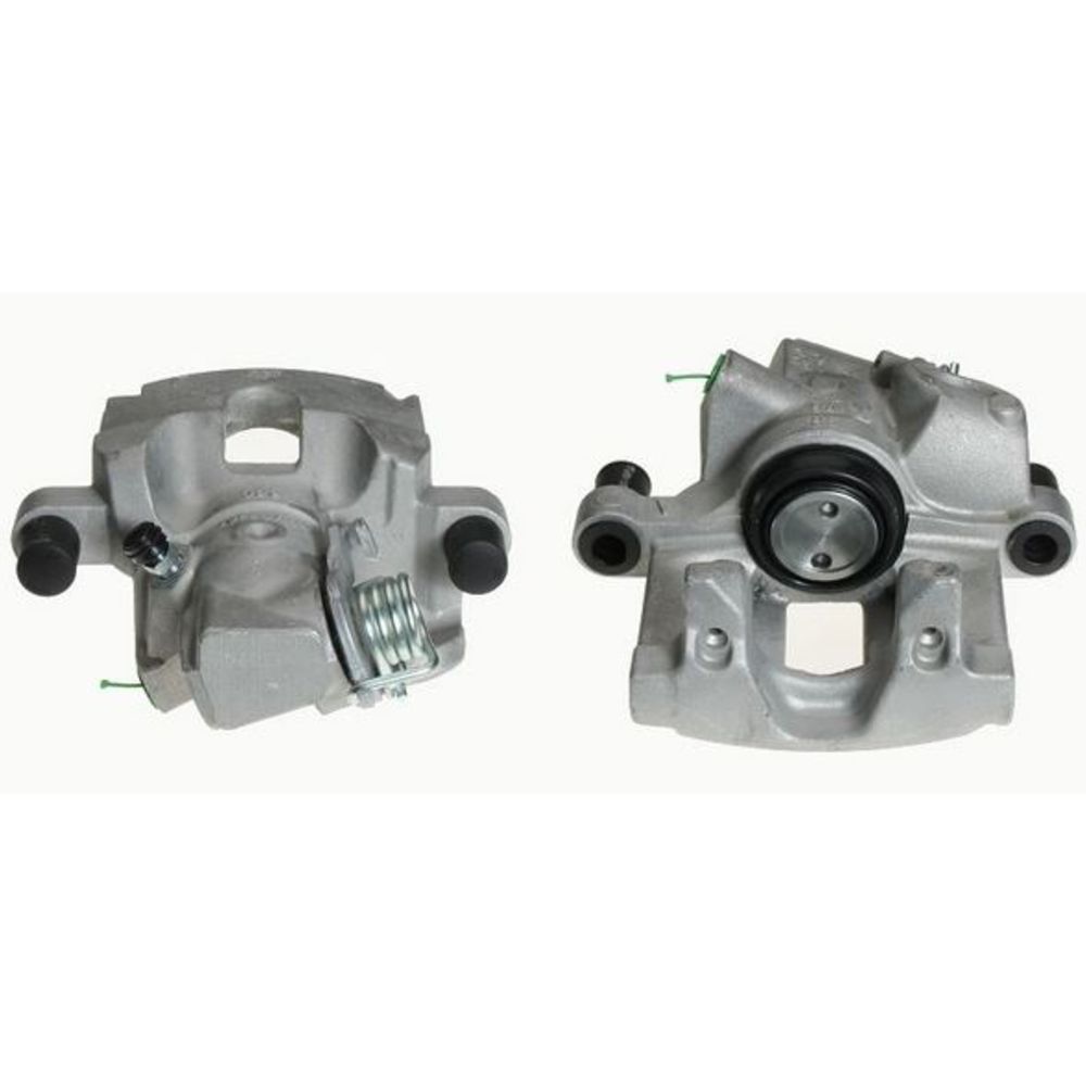 Jarrusatula 23-00292