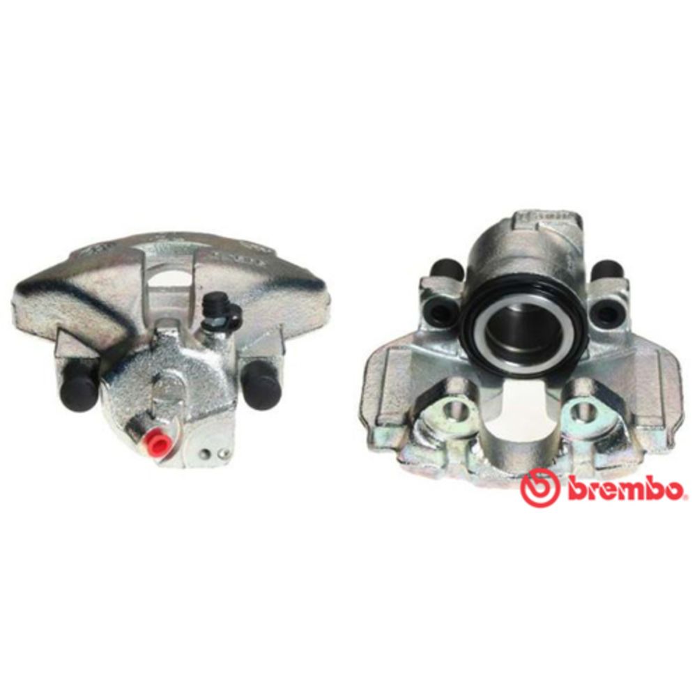 Jarrusatula 23-00062