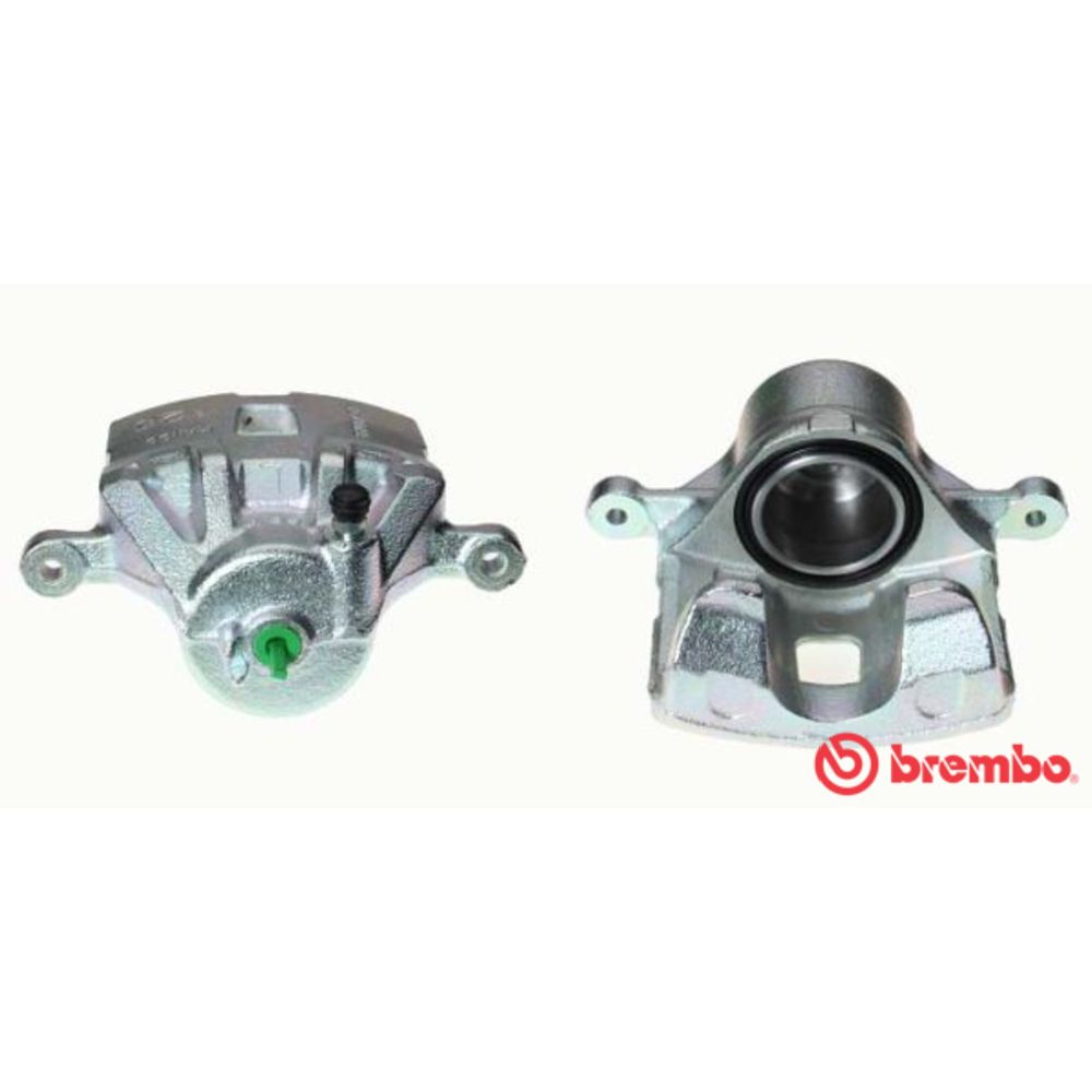 Jarrusatula 23-01454