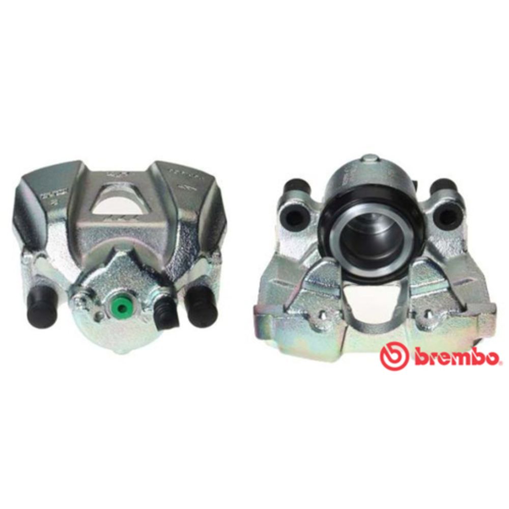 Jarrusatula 23-00102